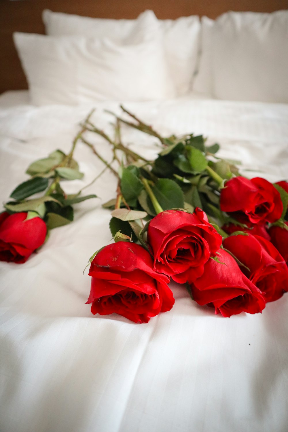 Couples Massage detail